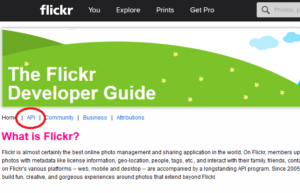 Flickr API 選択